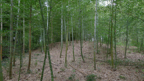 P1390876