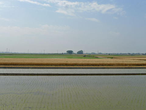 P1400664