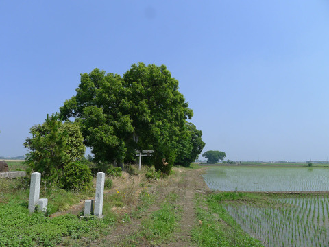 P1400649