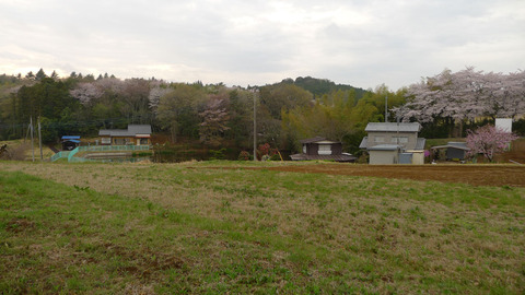 P1390525