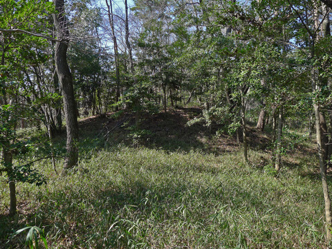 P1420577-9