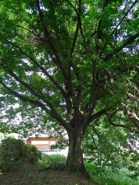 P1400587