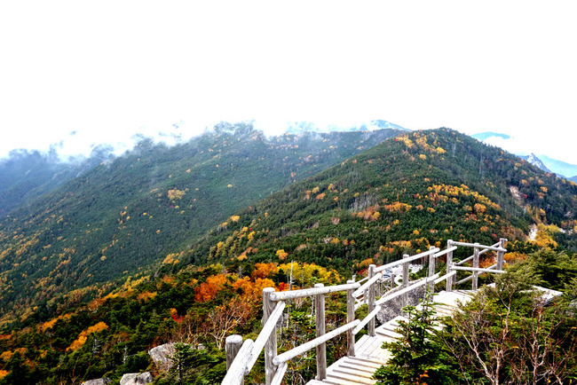 大弛峠・三国峠-017