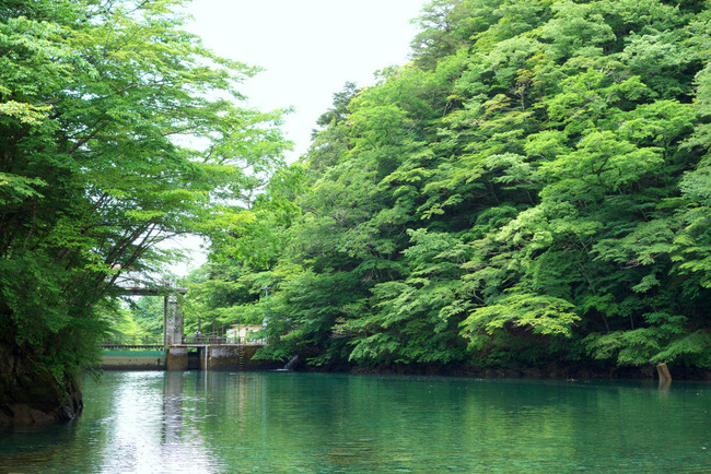 玄倉林道-011