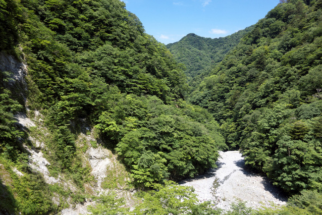 玄倉林道-005