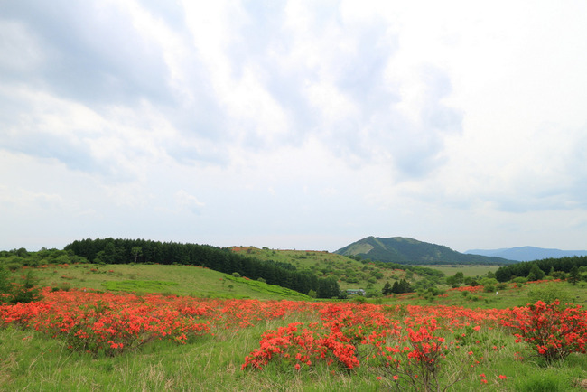 美ヶ原高原・VL-022