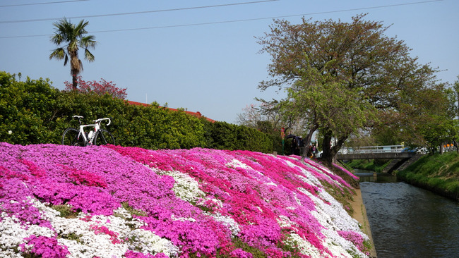 ヤビ2峠