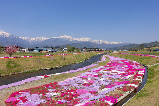 北アルプス山麓めぐり-001