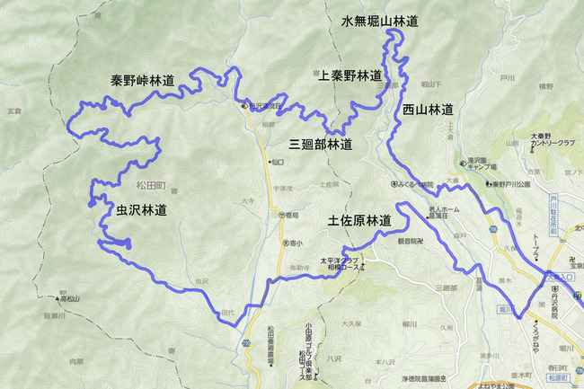 入梅の日の林道三昧