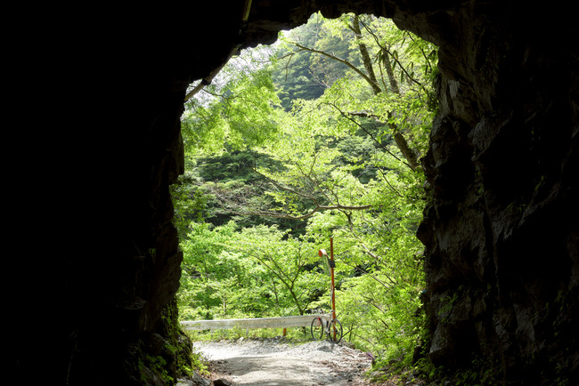 緑と青の絶景-017