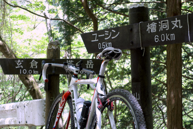 緑と青の絶景-018