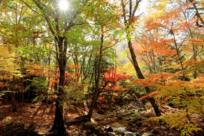 瑞牆山紅葉巡り-009