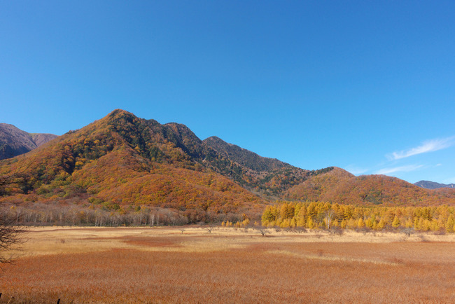日光紅葉-015