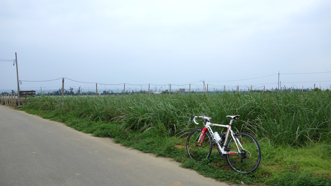 美ら島★沖縄ライド-005