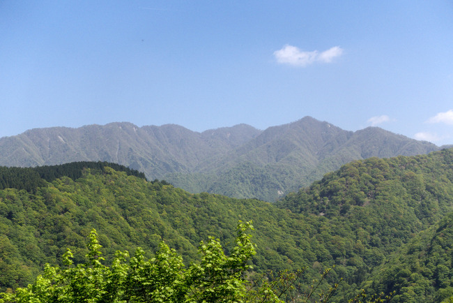 緑と青の絶景-005