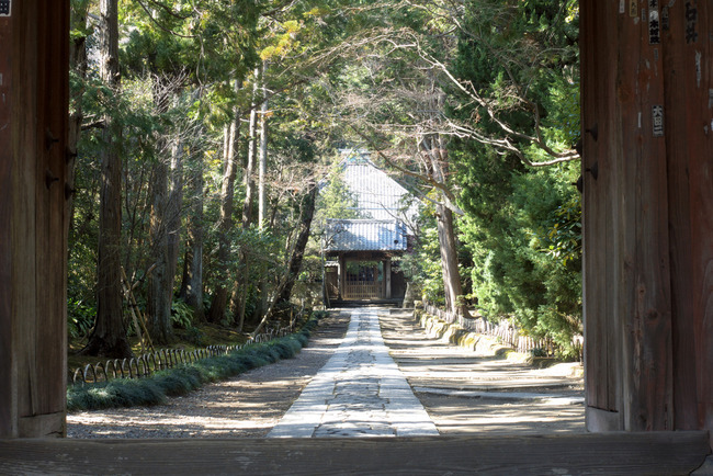 鎌倉旬景-005
