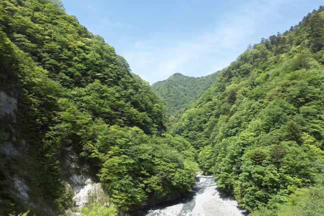 緑と青の絶景-010
