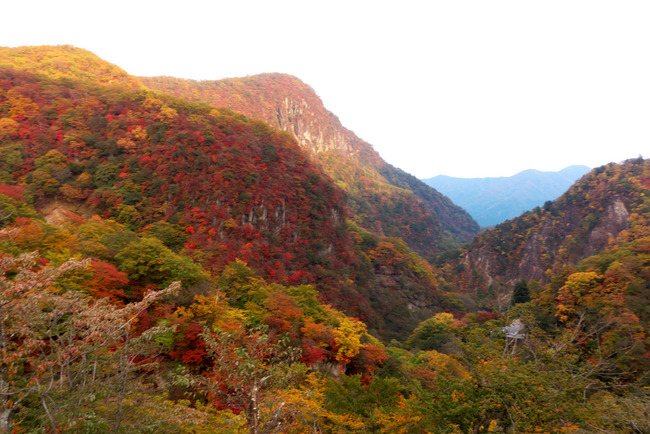 日光紅葉-028