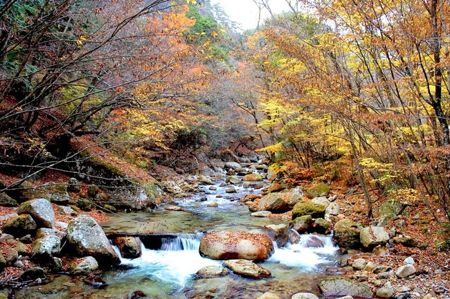 瑞牆山-014