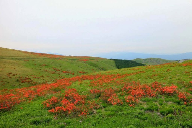 美ヶ原高原・VL-025