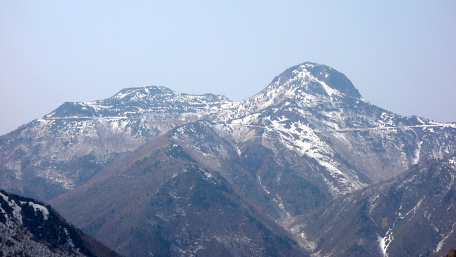 高山村しだれ桜-003