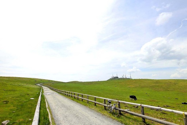 美ヶ原高原・VL-013