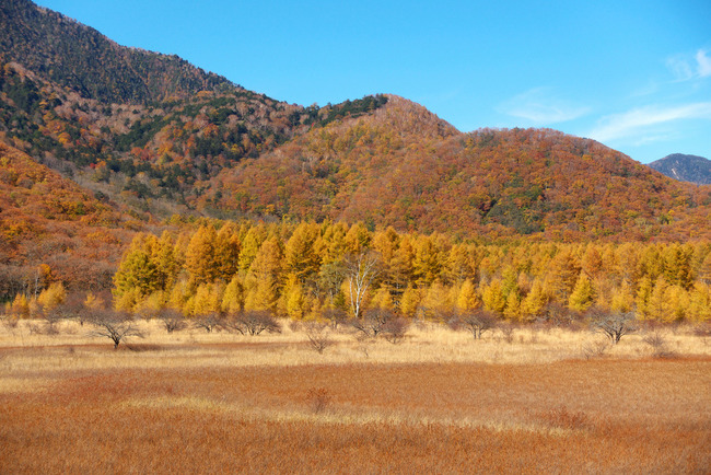 日光紅葉-016