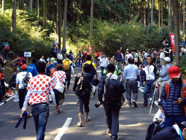 JAPACAP2012-021