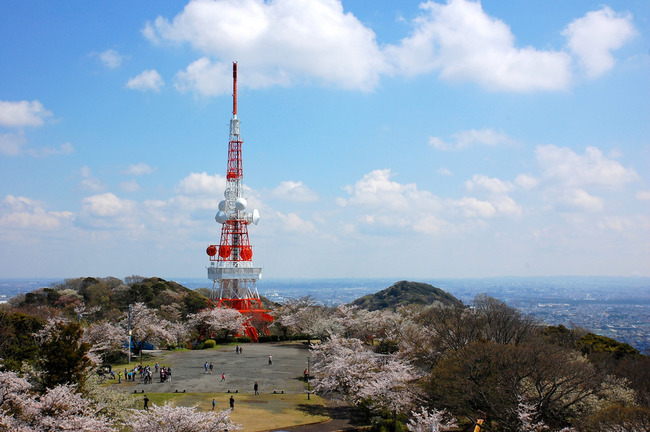 桜散る-002