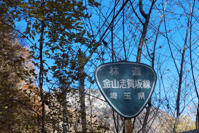 奥秩父紅葉-001