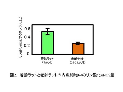 2018110602