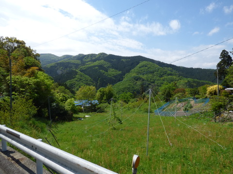 P1000051