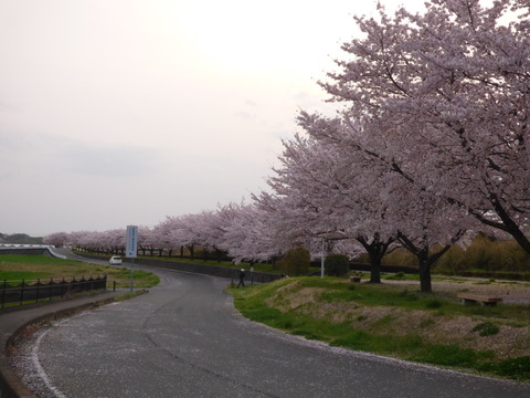 P1000011