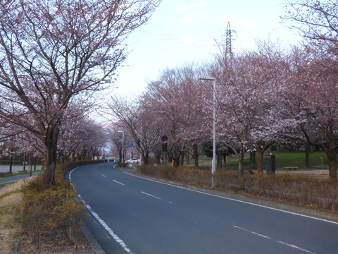 P1000003