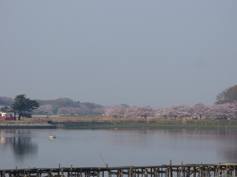 P1000005