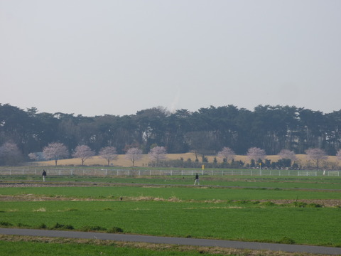 P1000002