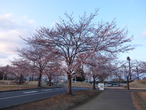P1000004