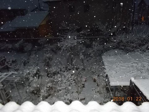DSCN0112