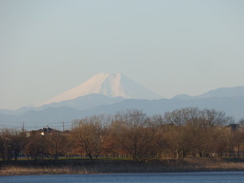 P1000007