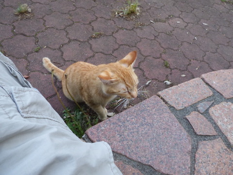 P1000030