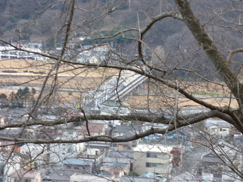 P1000006