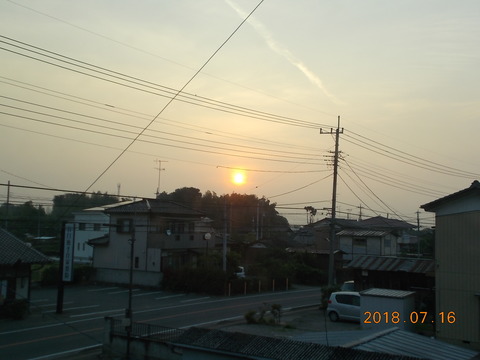 DSCN0982