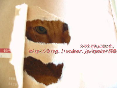 IMG_8325(3)