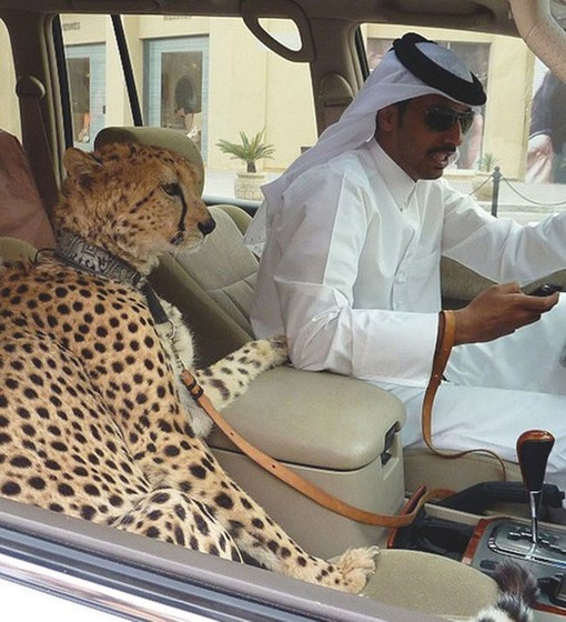 only_in_dubai_02