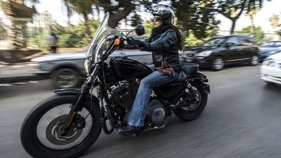 _102944434_harley