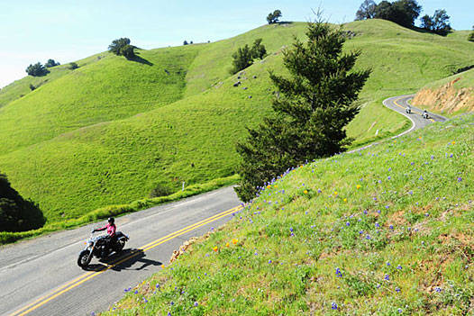 spring-riding