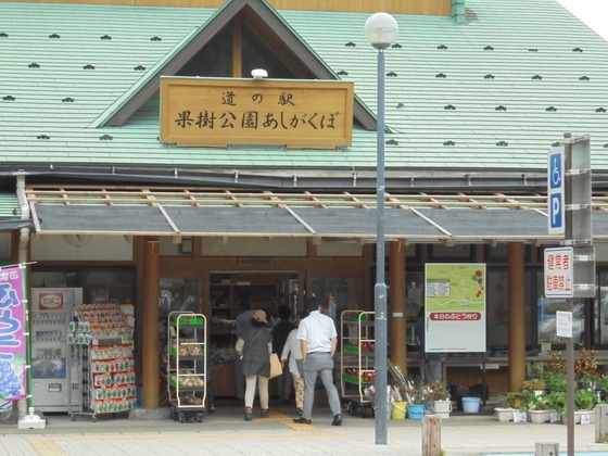 gJd1sSj