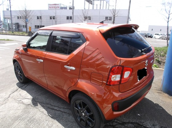 IGNIS