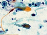 52d882f7.jpg