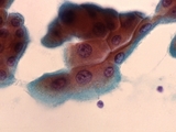 d2e2968f.JPG